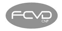 logo-FCVD 200